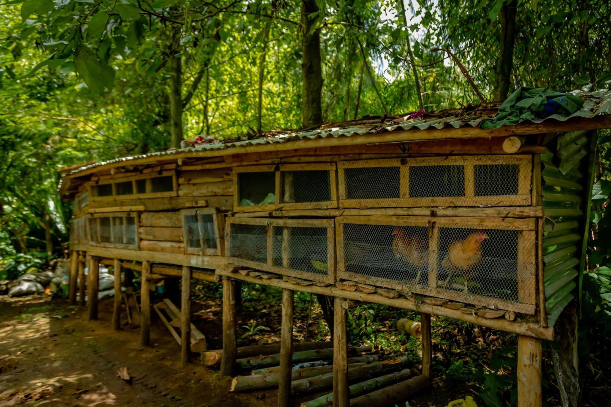 Fravan Eco Resort By Apogee Рухенгері Екстер'єр фото